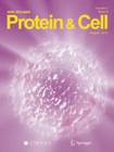 protein.jpg
